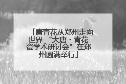 唐青花从郑州走向世界 “大唐・青花瓷学术研讨会”在郑州圆满举行
