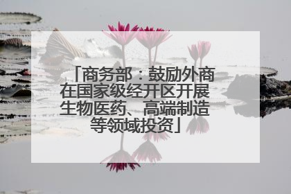 商务部：鼓励外商在国家级经开区开展生物医药、高端制造等领域投资