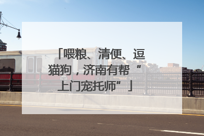 喂粮、清便、逗猫狗，济南有帮“上门宠托师”