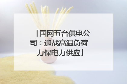国网五台供电公司：迎战高温负荷 力保电力供应