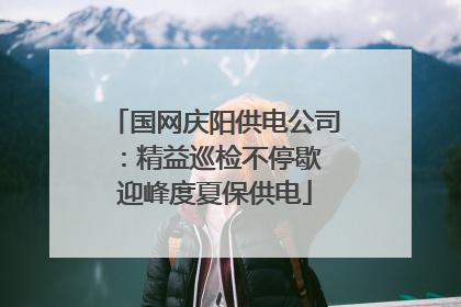 国网庆阳供电公司：精益巡检不停歇 迎峰度夏保供电
