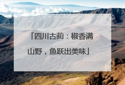 四川古蔺：椒香满山野，鱼跃出美味