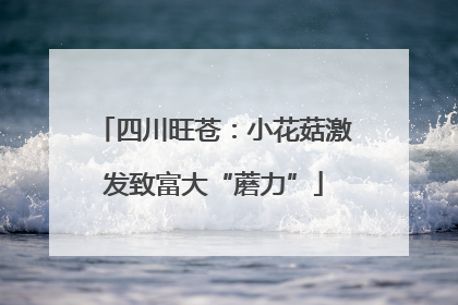 四川旺苍：小花菇激发致富大“蘑力”