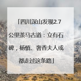 四川深山发现2.7公里茶马古道：立有石碑，杨慎、奢香夫人或都走过这条路