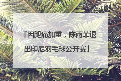 因腿痛加重，陈雨菲退出印尼羽毛球公开赛