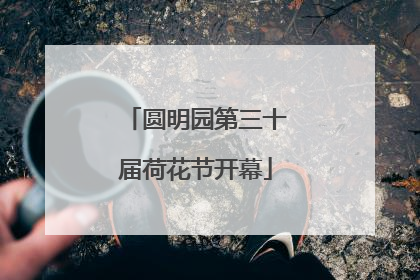 圆明园第三十届荷花节开幕