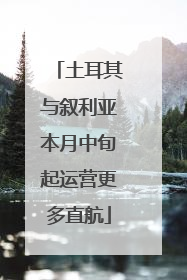 土耳其与叙利亚本月中旬起运营更多直航