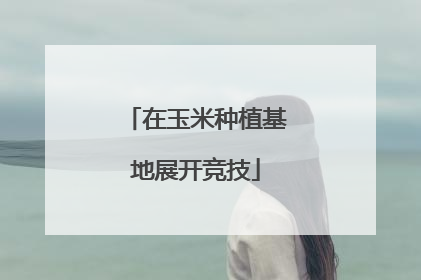 在玉米种植基地展开竞技