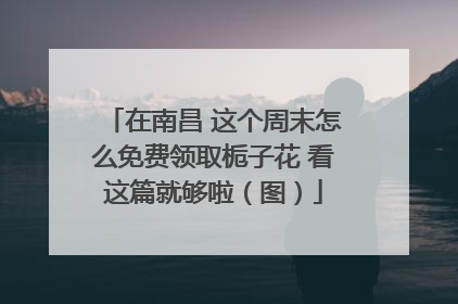 在南昌 这个周末怎么免费领取栀子花 看这篇就够啦（图）