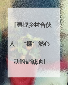 寻找乡村合伙人｜“棚”然心动的盐碱地