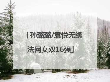 孙璐璐/袁悦无缘法网女双16强