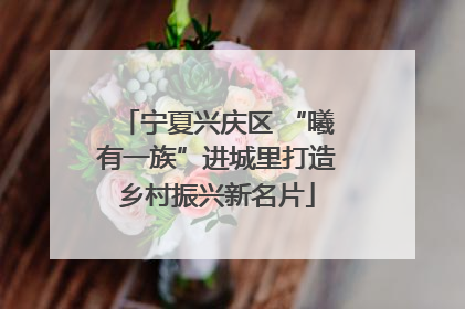 宁夏兴庆区 “曦有一族”进城里打造乡村振兴新名片