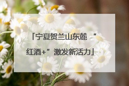 宁夏贺兰山东麓 “红酒+”激发新活力