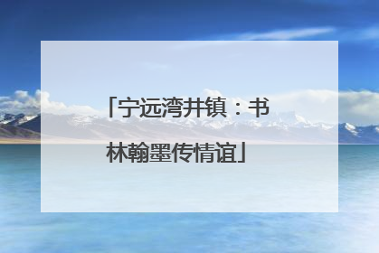 宁远湾井镇：书林翰墨传情谊