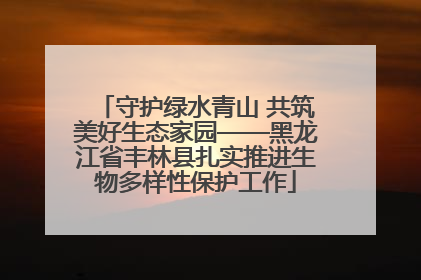 守护绿水青山 共筑美好生态家园——黑龙江省丰林县扎实推进生物多样性保护工作