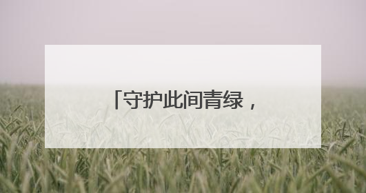 守护此间青绿，检察官能做些什么？这“后半篇文章”带你看明白