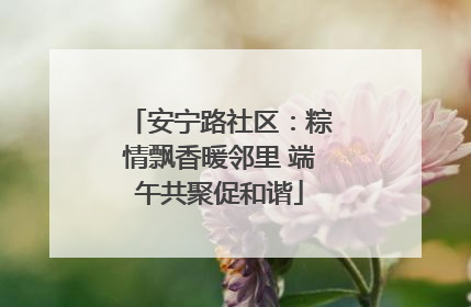 安宁路社区：粽情飘香暖邻里 端午共聚促和谐