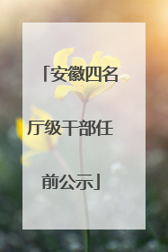 安徽四名厅级干部任前公示