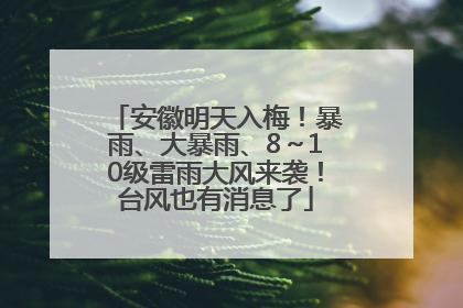 安徽明天入梅！暴雨、大暴雨、8～10级雷雨大风来袭！台风也有消息了