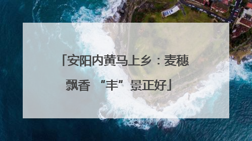 安阳内黄马上乡：麦穗飘香 “丰”景正好
