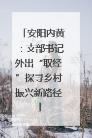 安阳内黄：支部书记外出“取经”探寻乡村振兴新路径