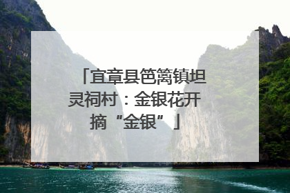 宜章县笆篱镇坦灵祠村：金银花开摘“金银”