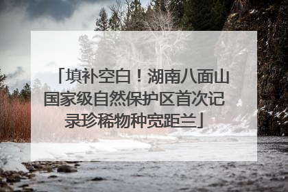 填补空白！湖南八面山国家级自然保护区首次记录珍稀物种宽距兰