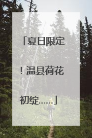 夏日限定！温县荷花初绽……
