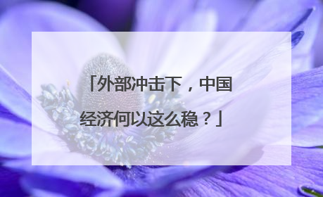 外部冲击下，中国经济何以这么稳？