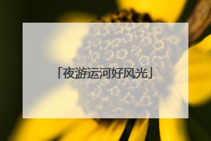 夜游运河好风光
