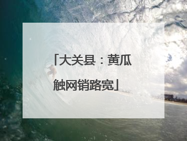 大关县：黄瓜触网销路宽