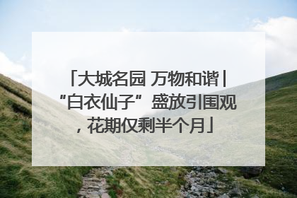 大城名园 万物和谐│“白衣仙子”盛放引围观，花期仅剩半个月