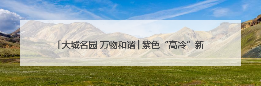 大城名园 万物和谐│紫色“高冷”新物种横空出世，皱褶叶片暗藏进化密码