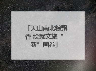 天山南北粽飘香 绘就文旅“新”画卷