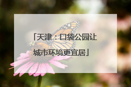 天津：口袋公园让城市环境更宜居