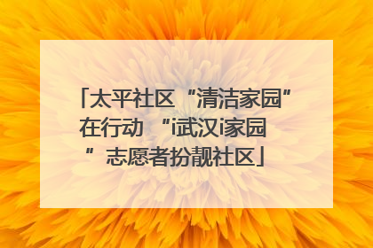 太平社区“清洁家园”在行动 “i武汉i家园”志愿者扮靓社区