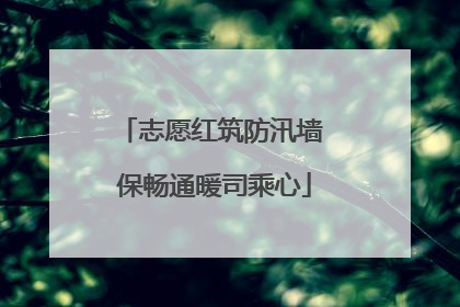 志愿红筑防汛墙 保畅通暖司乘心