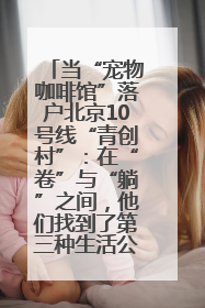 当“宠物咖啡馆”落户北京10号线“青创村”：在“卷”与“躺”之间，他们找到了第三种生活公式