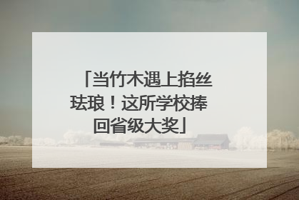 当竹木遇上掐丝珐琅！这所学校捧回省级大奖