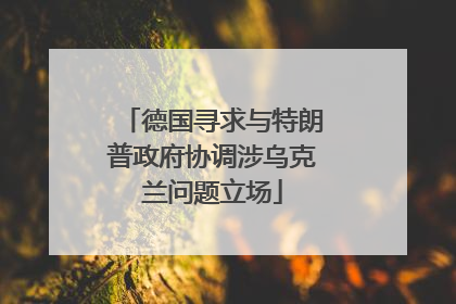 德国寻求与特朗普政府协调涉乌克兰问题立场