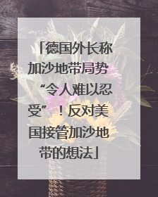 德国外长称加沙地带局势“令人难以忍受”！反对美国接管加沙地带的想法