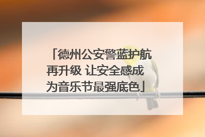 德州公安警蓝护航再升级 让安全感成为音乐节最强底色