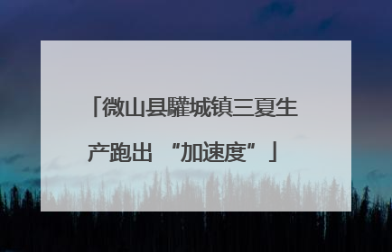 微山县驩城镇三夏生产跑出 “加速度”