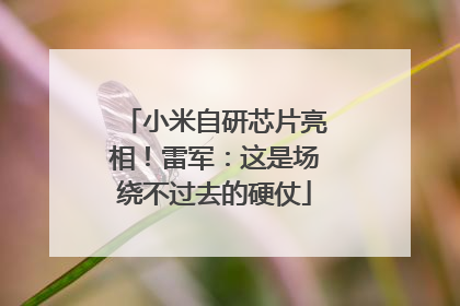 小米自研芯片亮相！雷军：这是场绕不过去的硬仗
