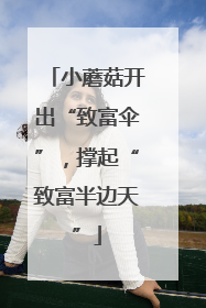 小蘑菇开出“致富伞”，撑起“致富半边天”