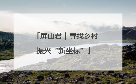 屏山君｜寻找乡村振兴“新坐标”
