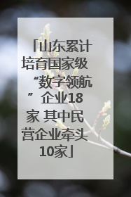 山东累计培育国家级“数字领航”企业18家 其中民营企业牵头10家
