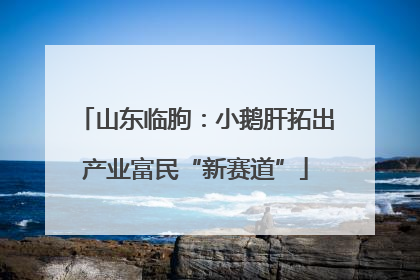 山东临朐：小鹅肝拓出产业富民“新赛道”