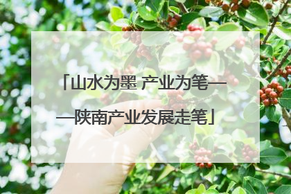 山水为墨 产业为笔——陕南产业发展走笔