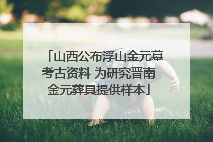 山西公布浮山金元墓考古资料 为研究晋南金元葬具提供样本